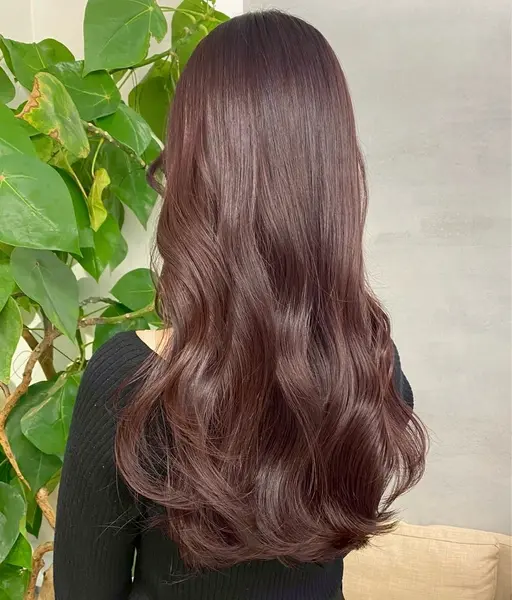 ♻️リピーター様限定♻️ワンカラー ¥4,360 🤎✨いつもありがとうございます🫶