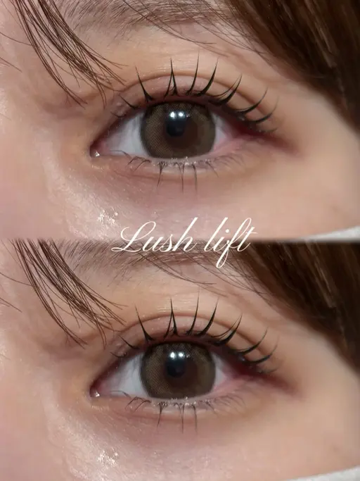 【4月限定】まつげパーマ上🪭