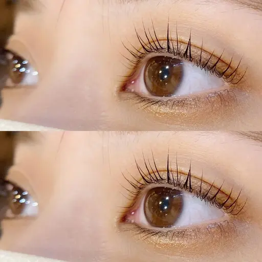 【当日予約限定】𝖯𝖺𝗋𝗂𝗌𝗂𝖾𝗇𝗇𝖾 / 𝖾𝗒𝖾𝗅𝖺𝗌𝗁 𝗉𝖾𝗋𝗆