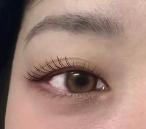 次世代まつ毛パーマ🦋トリートメント付