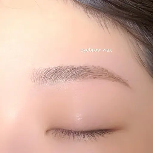 アイブロウWAX　【練習モデル】