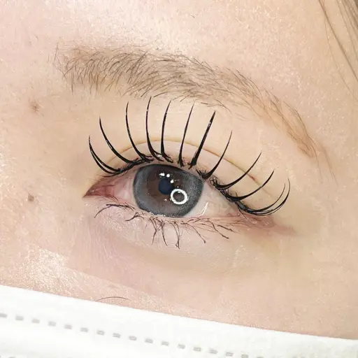 🌸当店再来の方限定🌸LEDマツエク導入記念🤍フラットラッシュ付け放題/専用のグルーとライトでしっかり硬化💡