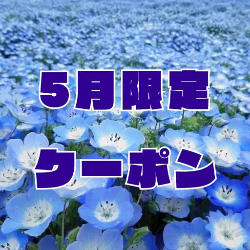 【🌱5月限定🐬】🎀ラッシュリフト【上のみ】🎀｜アイシャンプー付🫧｜※パリジェンヌ変更🉑