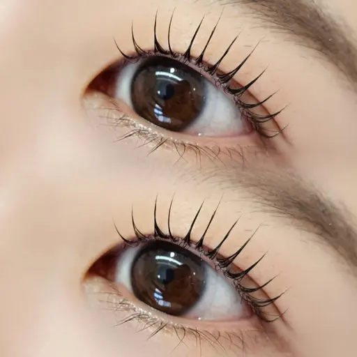 パリジェンヌラッシュリフト🩰 コーティング仕上げ✨