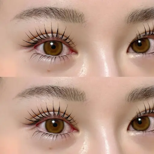 ★最新★韓国で話題のマスカラパーマ🖤〈アイシャンプー付き♪〉