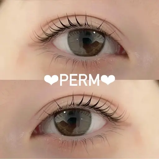 💛🌼ご新規様限定🌼💛【プレミアム】潤いまつ毛パーマ👀