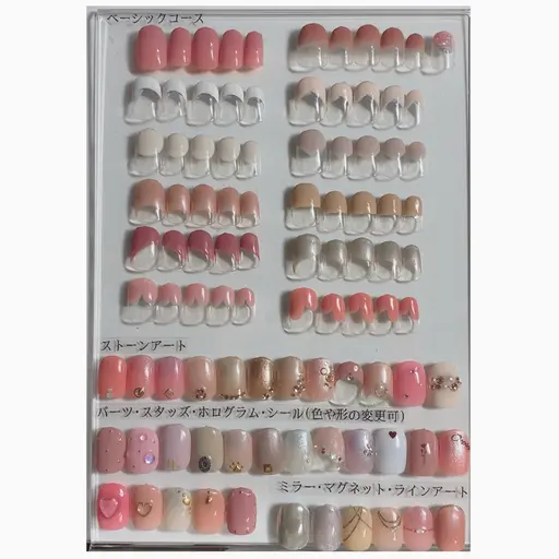 ベーシックコース