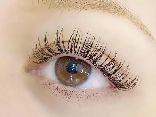 【新規様限定🌻オフ込み】フラットラッシュ120本まで付け放題¥5660※ブラウン変更＋500円