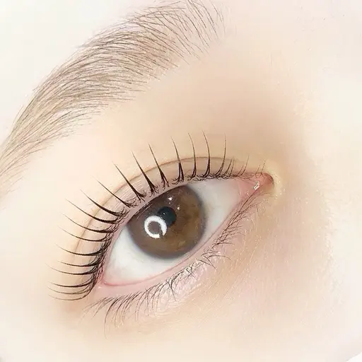 平日限定🌿人気‼️まつ毛パーマorパリジェンヌラッシュリフト✨¥7700→¥5400