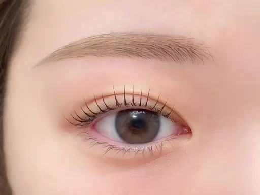 🈳4/16のみ‼️/アイブロウワックス➕まつぱセットメニュー🌱無料モデル🤍日時指定有り/🈳詳細要確認❕