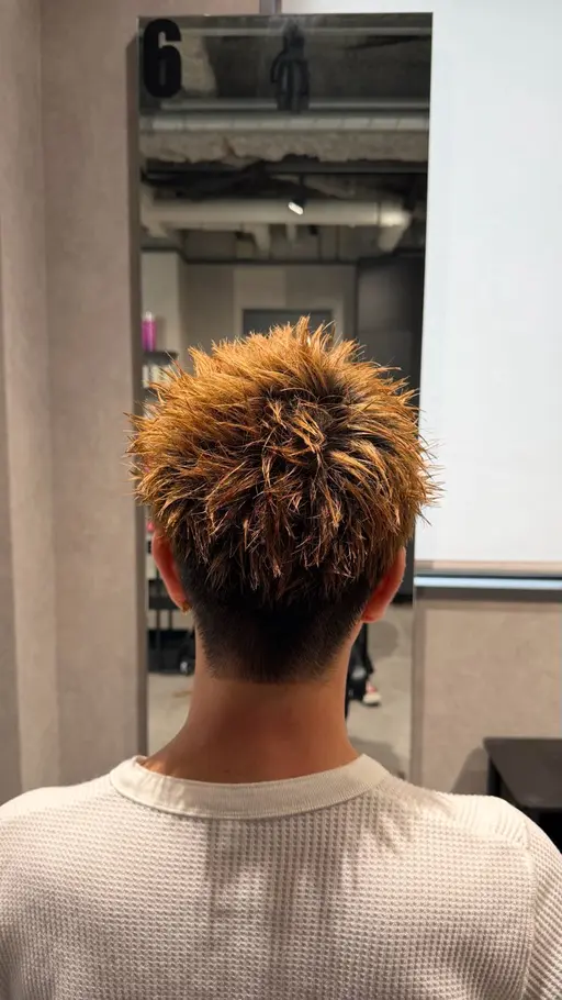 カット、シャンプーセット付き