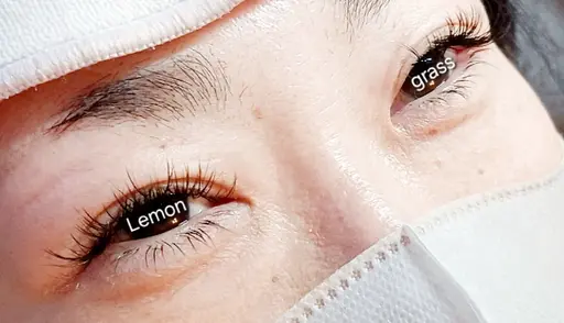 マツエク上下つけ放題 フラットラッシュ ※詳細をご確認ください