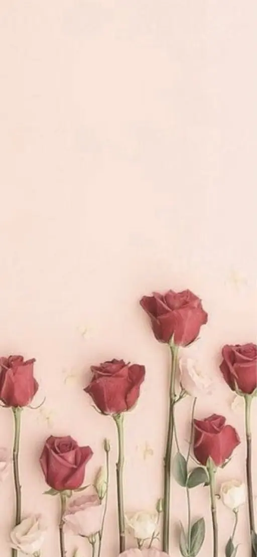 🌸着付け(振袖.袴)🌸