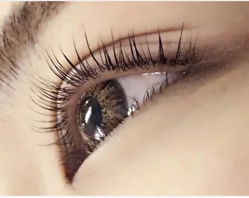 ✨まつ毛パーマ上の無料モデル✨トリートメント付き‼️