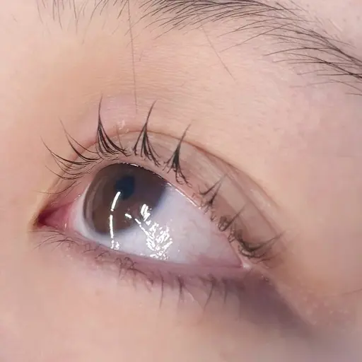 まつげパーマ(パリジェンヌラッシュリフト不可)