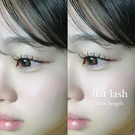 フラットラッシュ80~100本🫧自然なまつげにしたい方に🪄