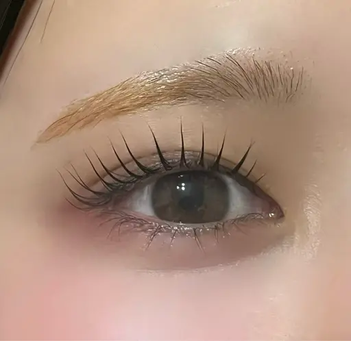 【4/26​〜​モデル募集🪷🫧】まつげパーマ