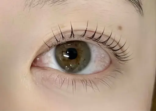 🎀まつ毛パーマＣカール🎀※練習メニューのためデザインはお選びいただけません。5月1日以降ご案内メニューです❣️