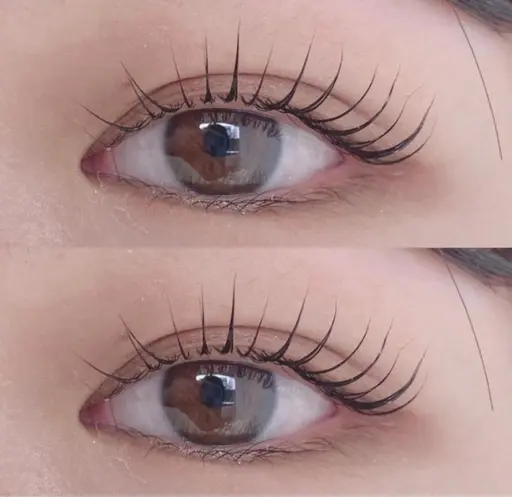 🎀無料10:00予約限定クーポンコーティング付き🎀 （マツパ、パリジェンヌ、メーテルからお選びいただけます✨）