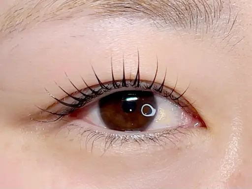 🌼コンペ対策練習モデル🌼eyelash全国大会まつ毛パーマ部門ファイナリストによる施術