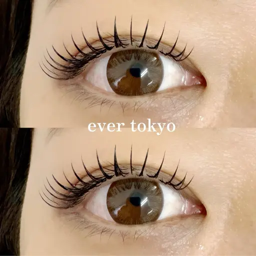 🐻練習モデル🐻ダブルフラットラッシュ🐻 100束（オフ別途料金）￥6500→\0