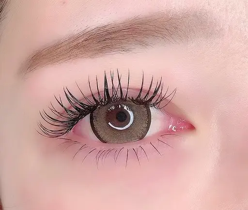 【上まつ毛】ダブルフラットラッシュ100束🫧国産グルー使用✨