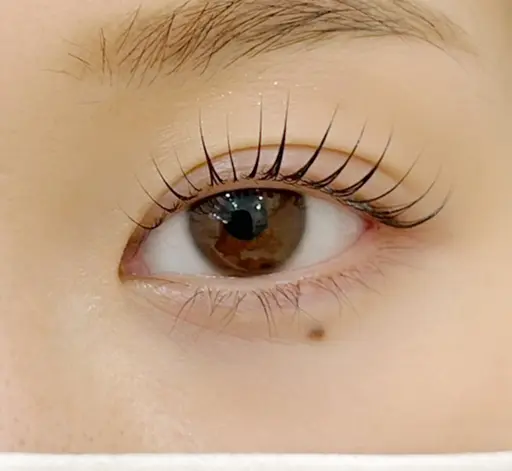 ミニモ限定🤍トリートメント付きまつ毛パーマ☆🙇♀️10分前来店をお願いします。