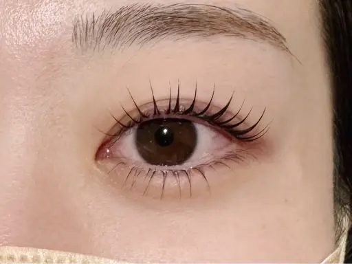 上下ラッシュリフト🎀＋コーティング仕上げ✧‧˚