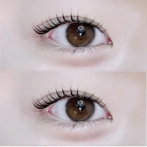 【4/13空き有◎】🤍ご新規様限定🤍潤いまつ毛パーマ(コーティングお仕上げ付き)