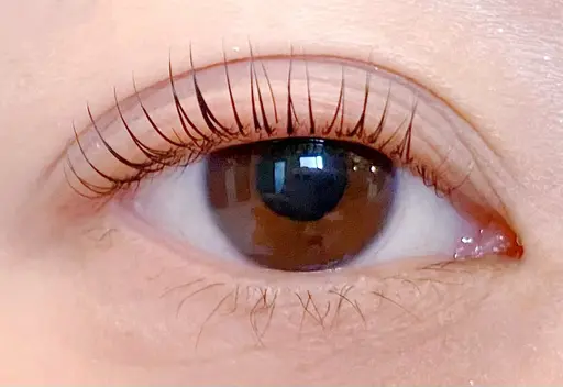 【ミニモ限定】パリジェンヌラッシュリフト💜コーティング仕上げ💫