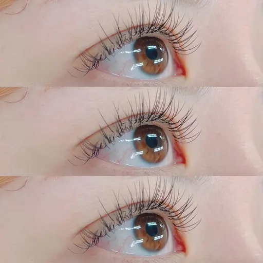 ご新規様限定！【minimo限定価格】フラットラッシュ100本オフ込！