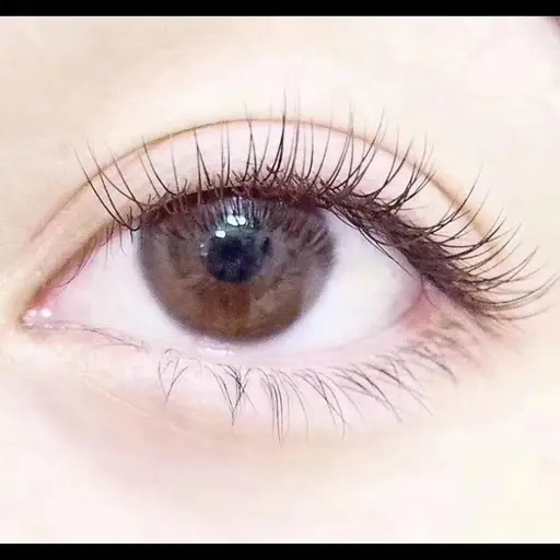 🉐国産セーブル80本3800円//フラットラシュ80本4500円(付け出し40本/60本可)(オフ込み)