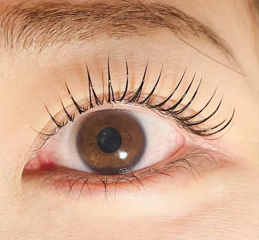 即予約🉑❕【4月限定】🌷束感まつげパーマ🌷（上）束感コーティング仕上げ付き※口コミ、写真、動画撮影必須