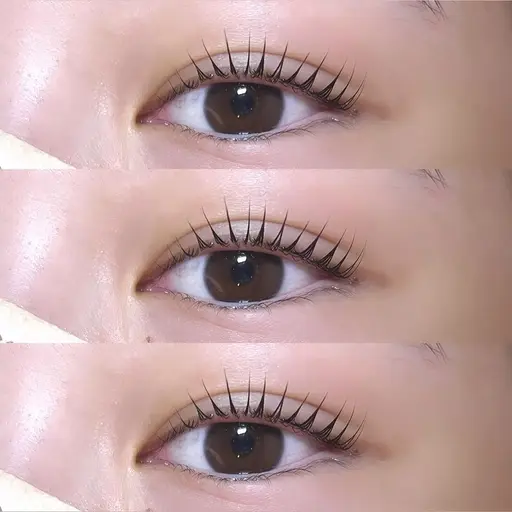 ‎minimo限定︎💕︎︎︎💕︎︎パリジェンヌラッシュリフト‎