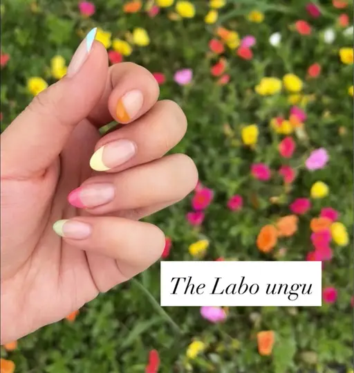 フレンチ🎀オフ無し
