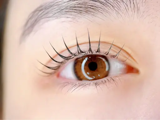 《ラッシュリフト上》＋2種の美容液仕上げ✨️