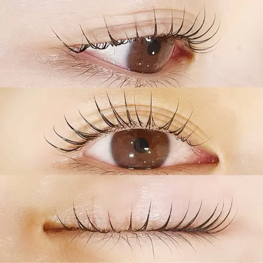 【本日限定】Jr.アイリスト練習モデル☆まつ毛パーマ+トリートメント 90分 ¥1,650