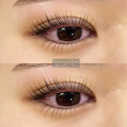 【限定🌷】✨上下ラッシュリフト💫