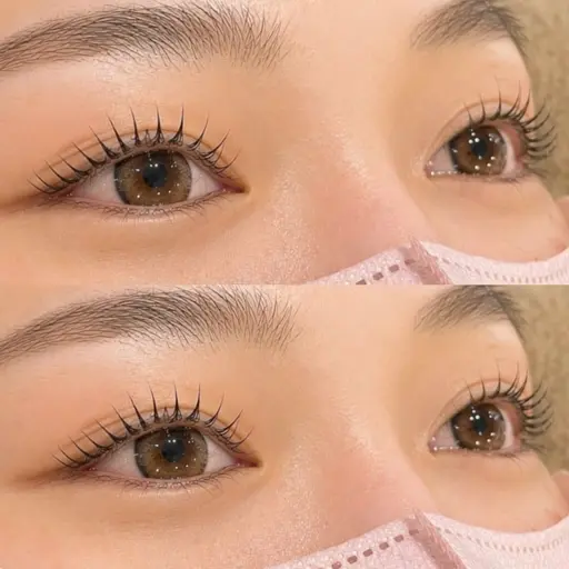 【 ご新規様限定 】🤍束感 パリジェンヌ or まつ毛パーマ ＋ 眉毛Wax脱毛🤍 美容液コーティング込み