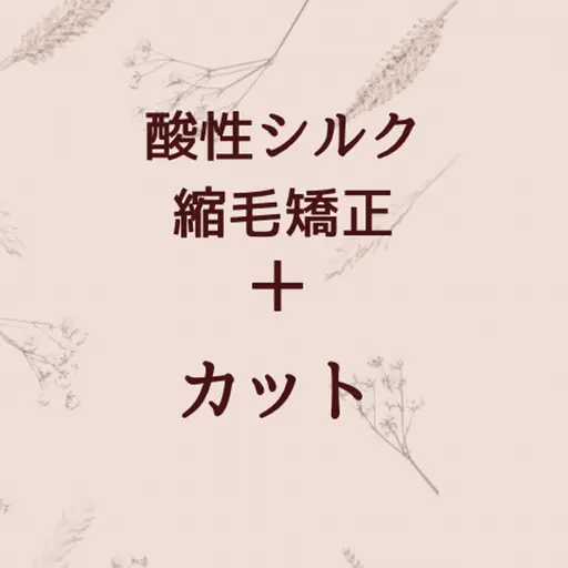 【人気No.1】酸性シルクストレート＋カット
