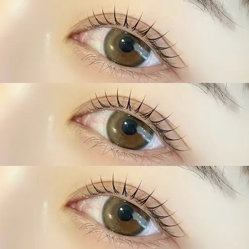 【当日限定❕】🎀まつげパーマ🎀¥2750