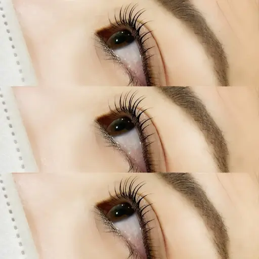 軽量🫧フラットラッシュ100本までのつけ放題❕束感仕上げコーティング付き🦖⸒⸒