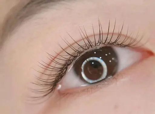 フラットラッシュ80本　初回オフ込み　LED+¥1000