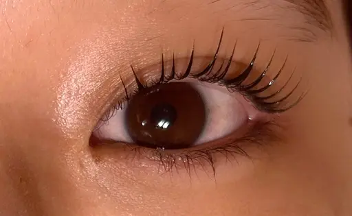 セラムラッシュリフト(上のみ)