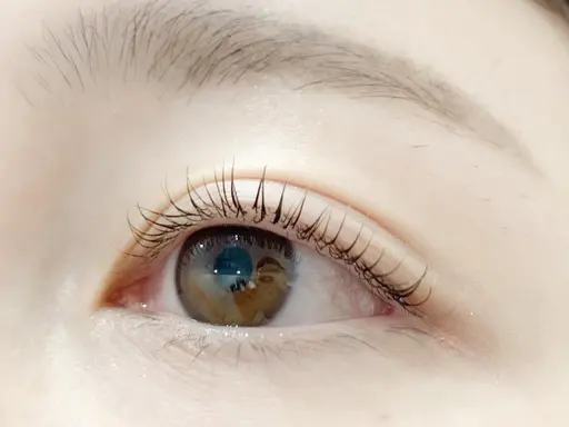 新規🐚平日限定🌴17時までのご来店🌟 60分まつげパーマ（上）¥1990（上下）¥3160