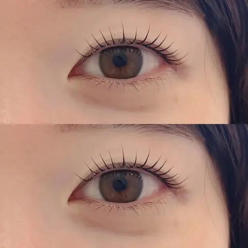✨まつ毛パーマ+眉毛Wax✨