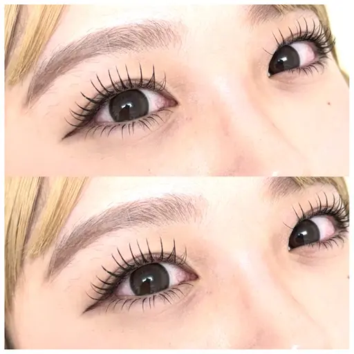 【ミニモ限定】🦋フラットラッシュ 120本🦋
