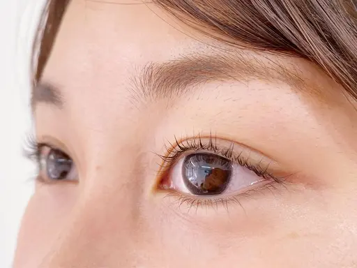 まつげパーマorラッシュリフト🧸