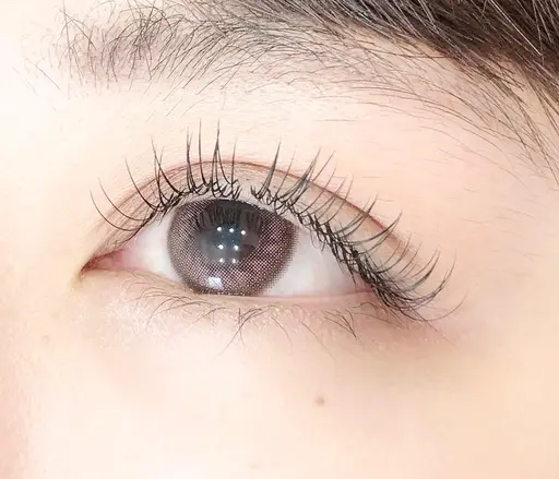 フラットラッシュ100本✨ブラウンもあります🤎