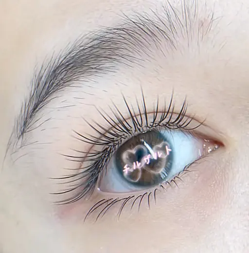 【経験者面接専用モデル】 フラットラッシュ　120本